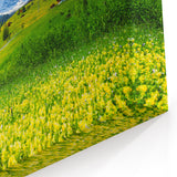 Vibrant Mountain Valley Wall Art - Scenic Alpine Meadow Canvas Print