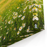 Sunlit Meadow Valley Wall Art - Peaceful Daisy Field Landscape Print