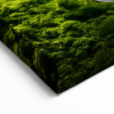 Serpentine Mountain Road Wall Art - Breathtaking Scenic Drive