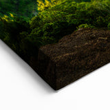 Serene Coastal Valley Wall Art - Scenic Mountain Valley Canvas Print