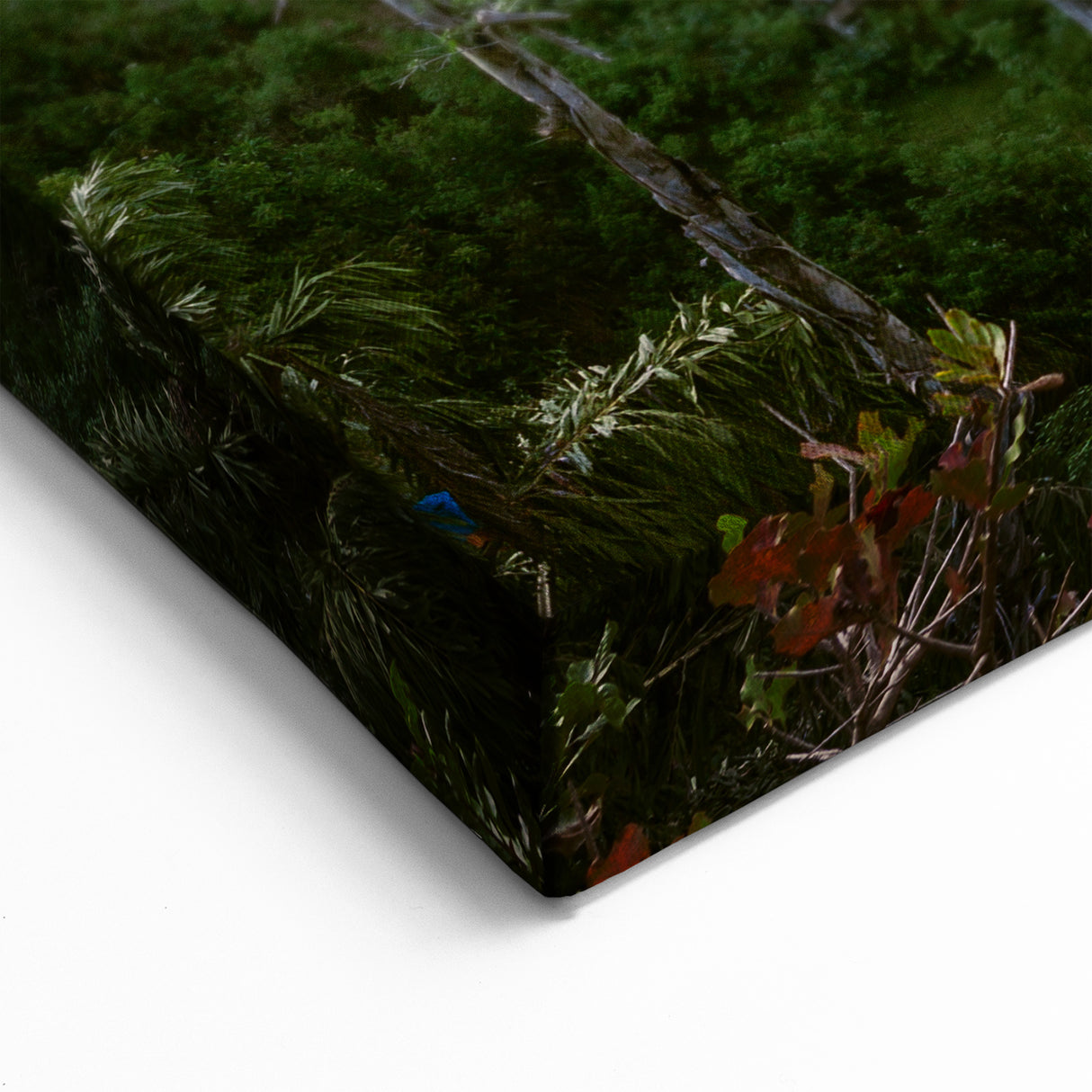 Scenic Train Over Bridge Wall Art - Nature-Inspired Railroad Canvas Print