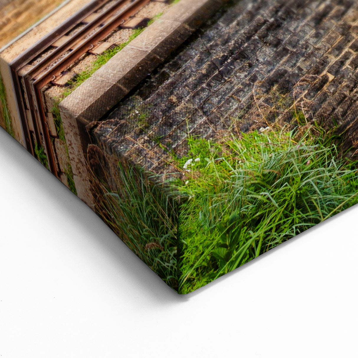 Red Train in Lush Greenery Wall Art - Vibrant Locomotive Canvas Print