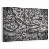Black and White Forest Road Wall Art - Aerial Curved Pathway Print