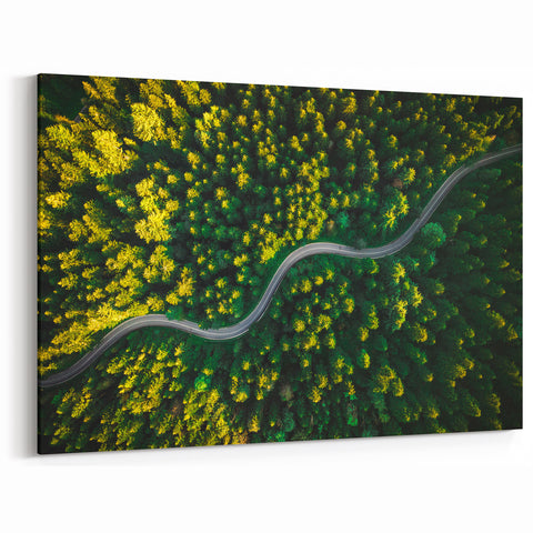 Golden Forest Road Wall Art - Aerial Scenic Pathway Landscape Print