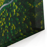 Golden Forest Road Wall Art - Aerial Scenic Pathway Landscape Print