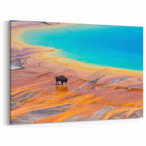 Vivid Geyser and Bison Art - Stunning Natural Landscape Canvas Print