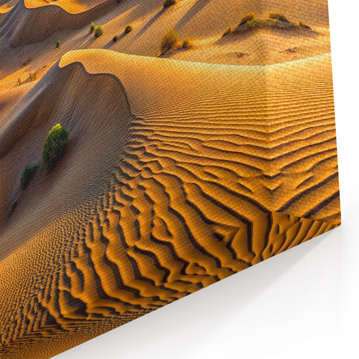 Algerian Sahara Splendor - Panoramic Desert Landscape Wall Art Print