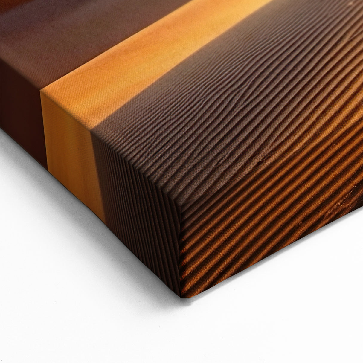 Solitary Tree in Algerian Desert - Stunning Sahara Sunset Wall Art