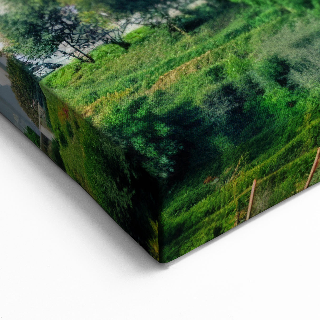 Algerian Cityscape Splendor - Majestic Mosque and Skyline Wall Art