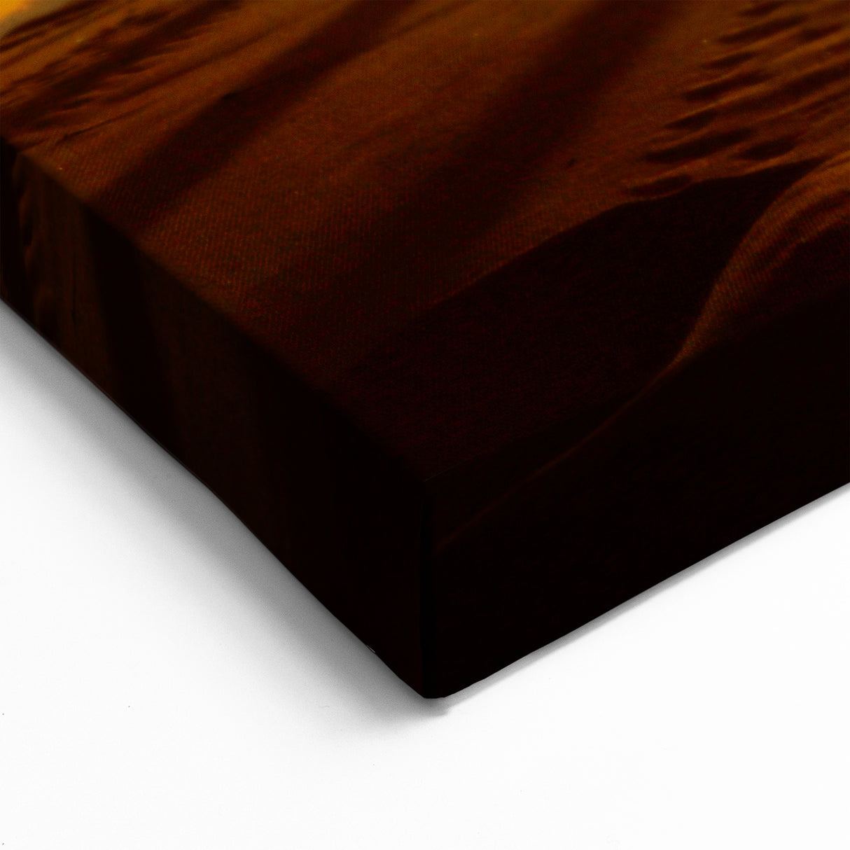 Camels at Sunset in Algeria - Captivating Sahara Desert Wall Art