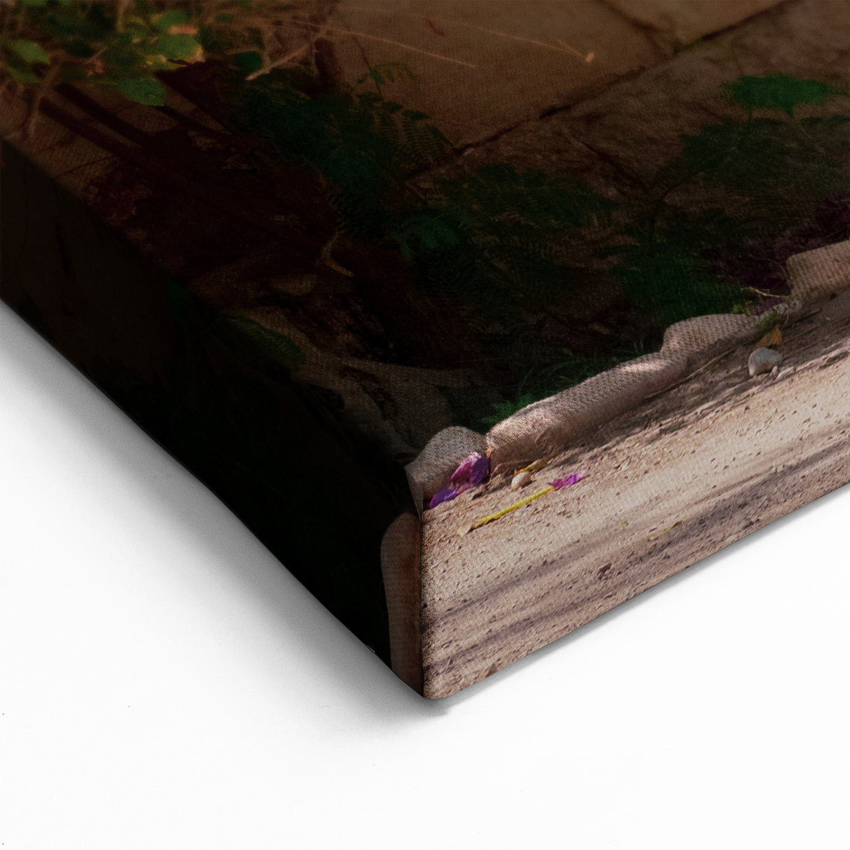 Algeria Scenery Art - Vibrant Bougainvillea Bloom on Traditional Facade