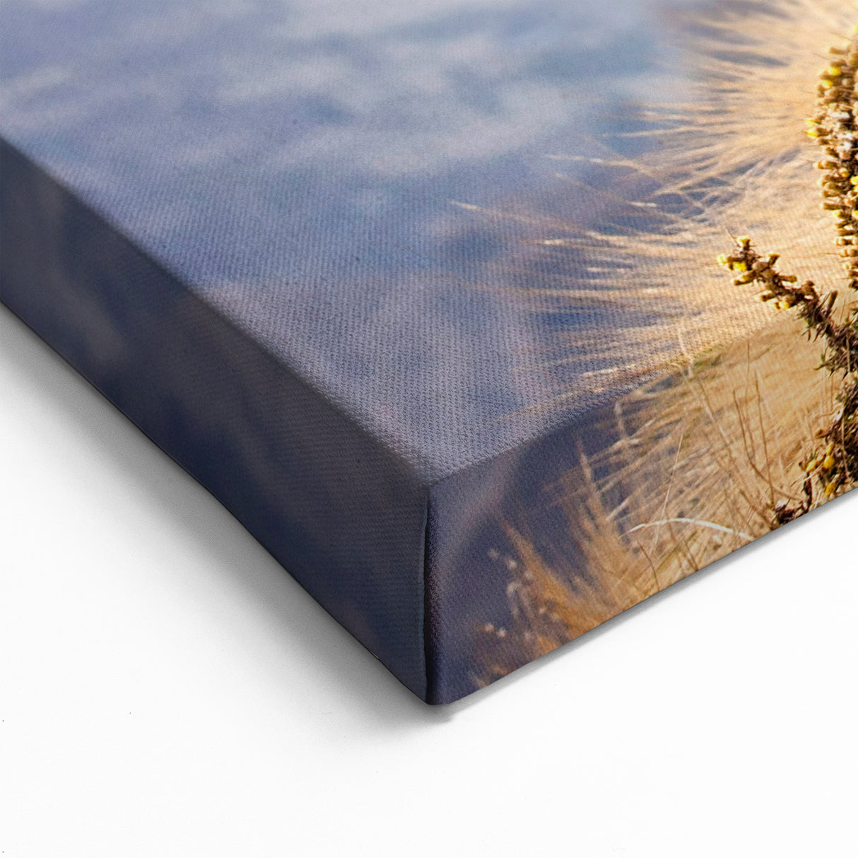 Majestic Ethiopian Gelada Baboon on Mountain - Ethiopian Wall Art Print