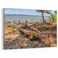 Traditional Ethiopian Reed Boat by Lake - Scenic African Art Print