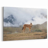Majestic Ethiopian Wolf in Highlands - Wildlife Art Print