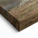 Majestic Ethiopian Wolf in Highlands - Wildlife Art Print