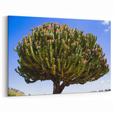 Majestic Ethiopian Cactus Tree - Vibrant African Nature Art Print