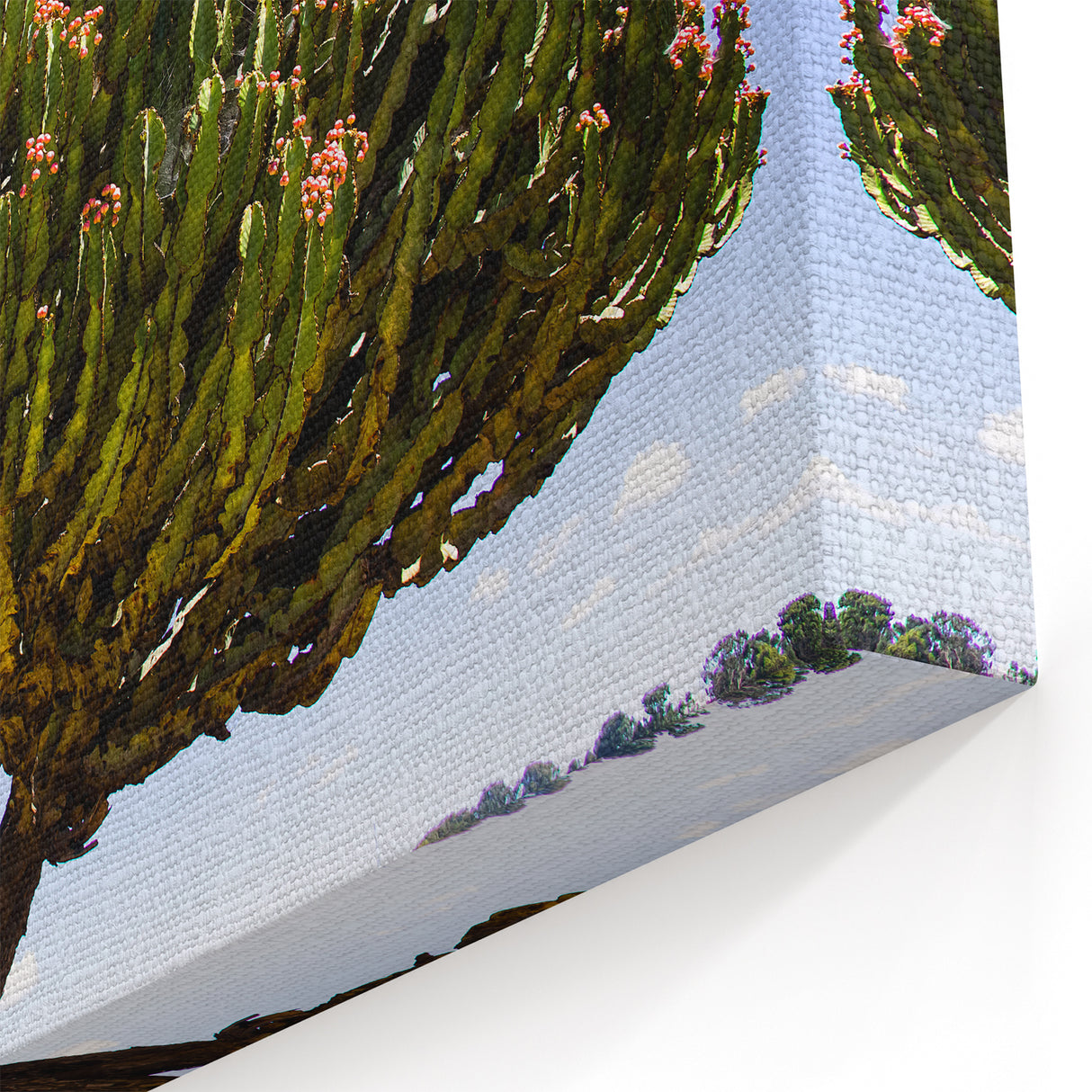 Majestic Ethiopian Cactus Tree - Vibrant African Nature Art Print