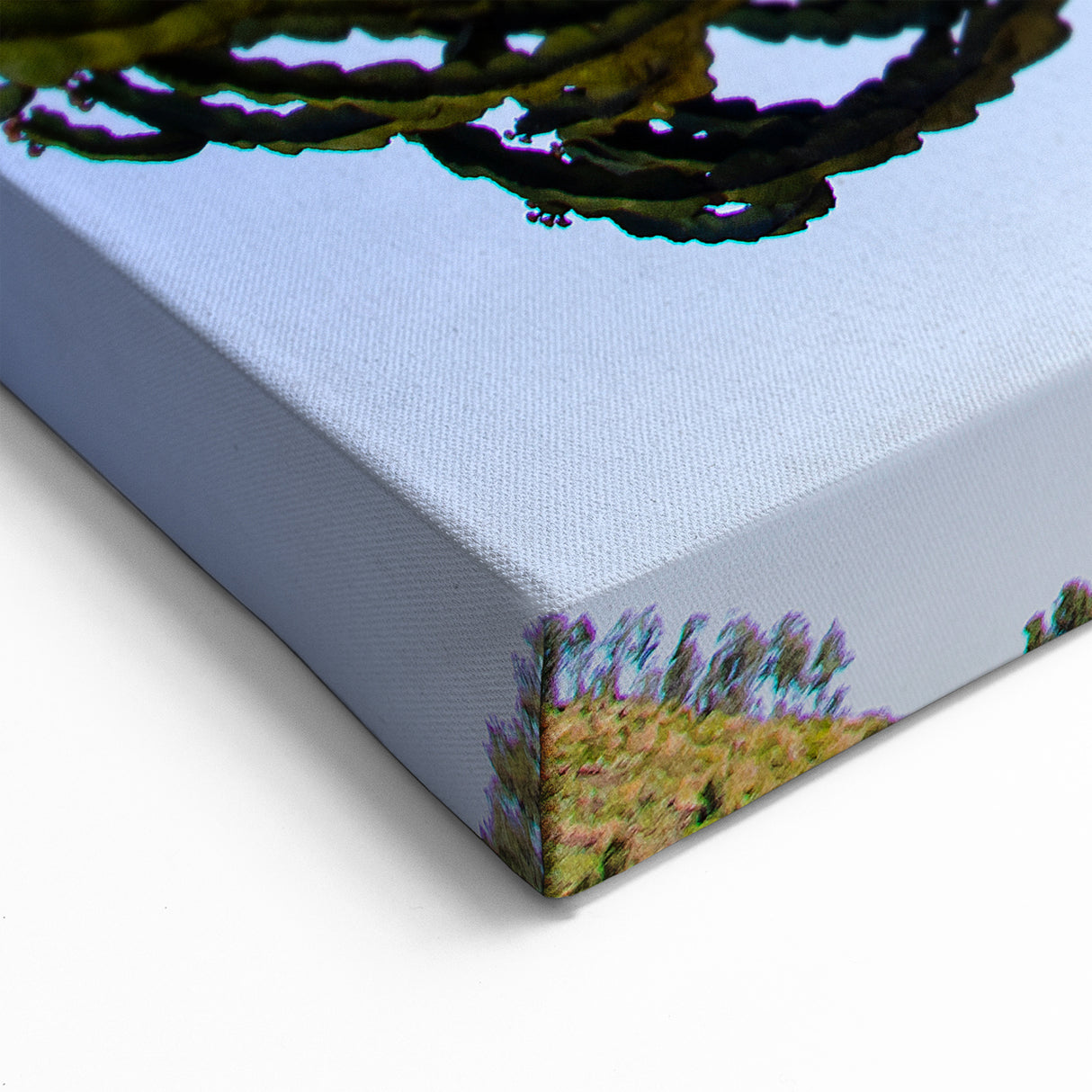 Majestic Ethiopian Cactus Tree - Vibrant African Nature Art Print