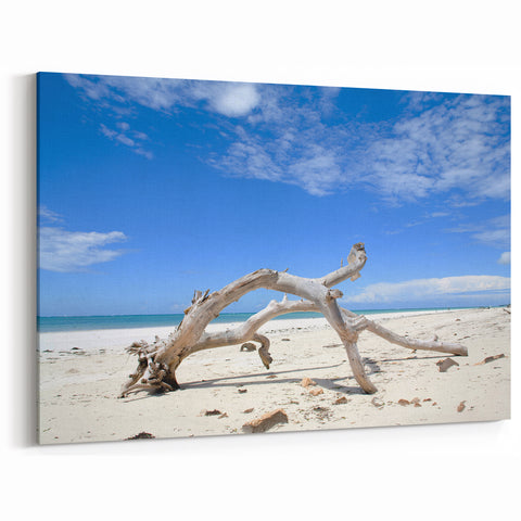 Serene Kenyan Beach Wall Art - African Coastal Photography Canvas