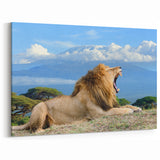 Majestic Kenyan Lion with Kilimanjaro - African Wildlife Wall Art