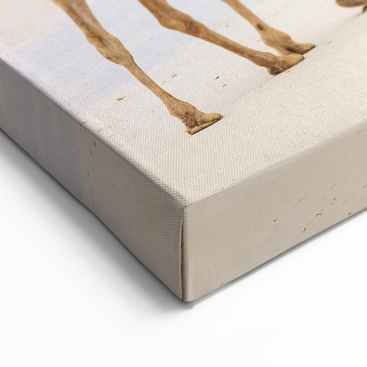 Colorful Camels on Kenyan Beach - Vibrant African Coastal Wall Art