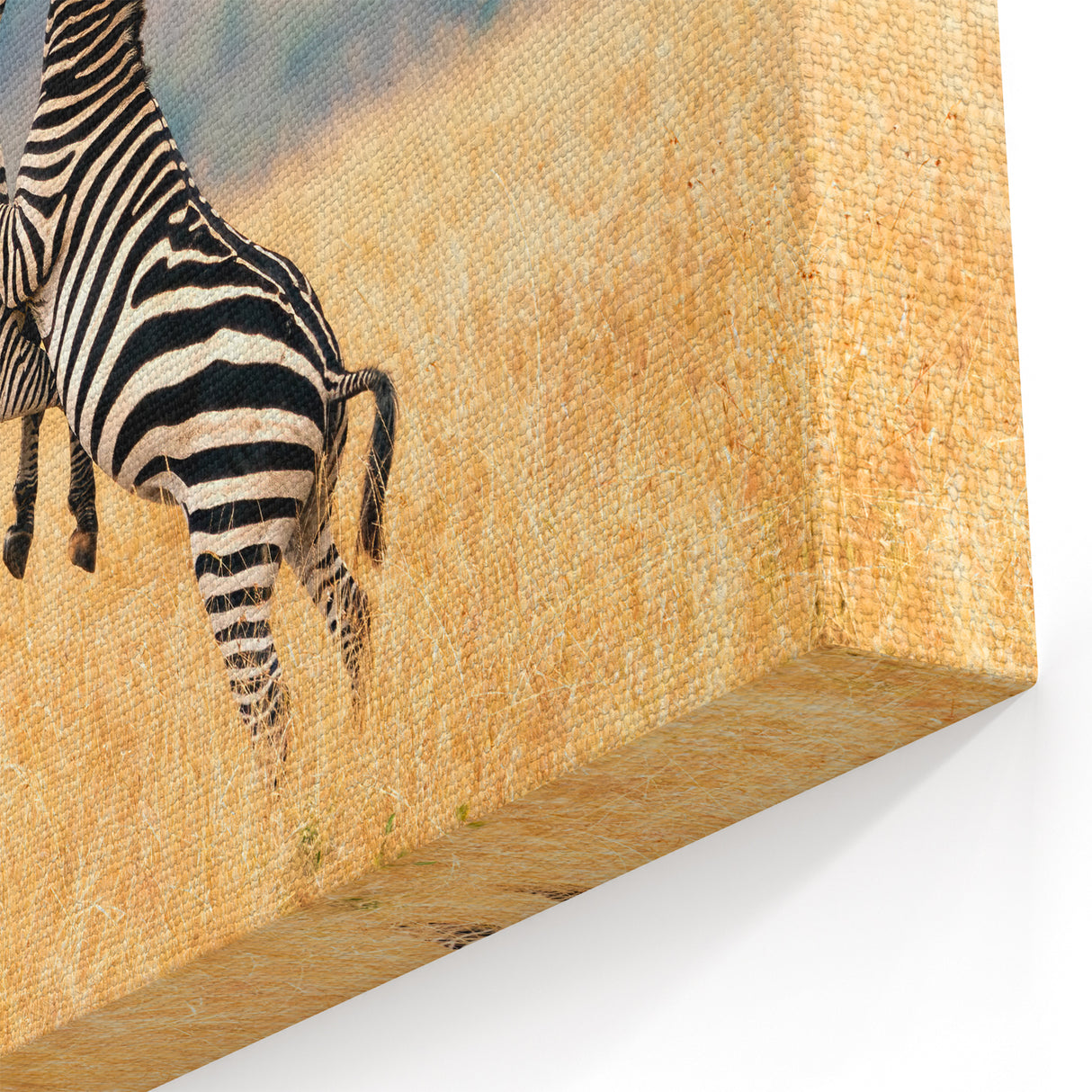 Playful Zebras in Kenya - African Wildlife Wall Art