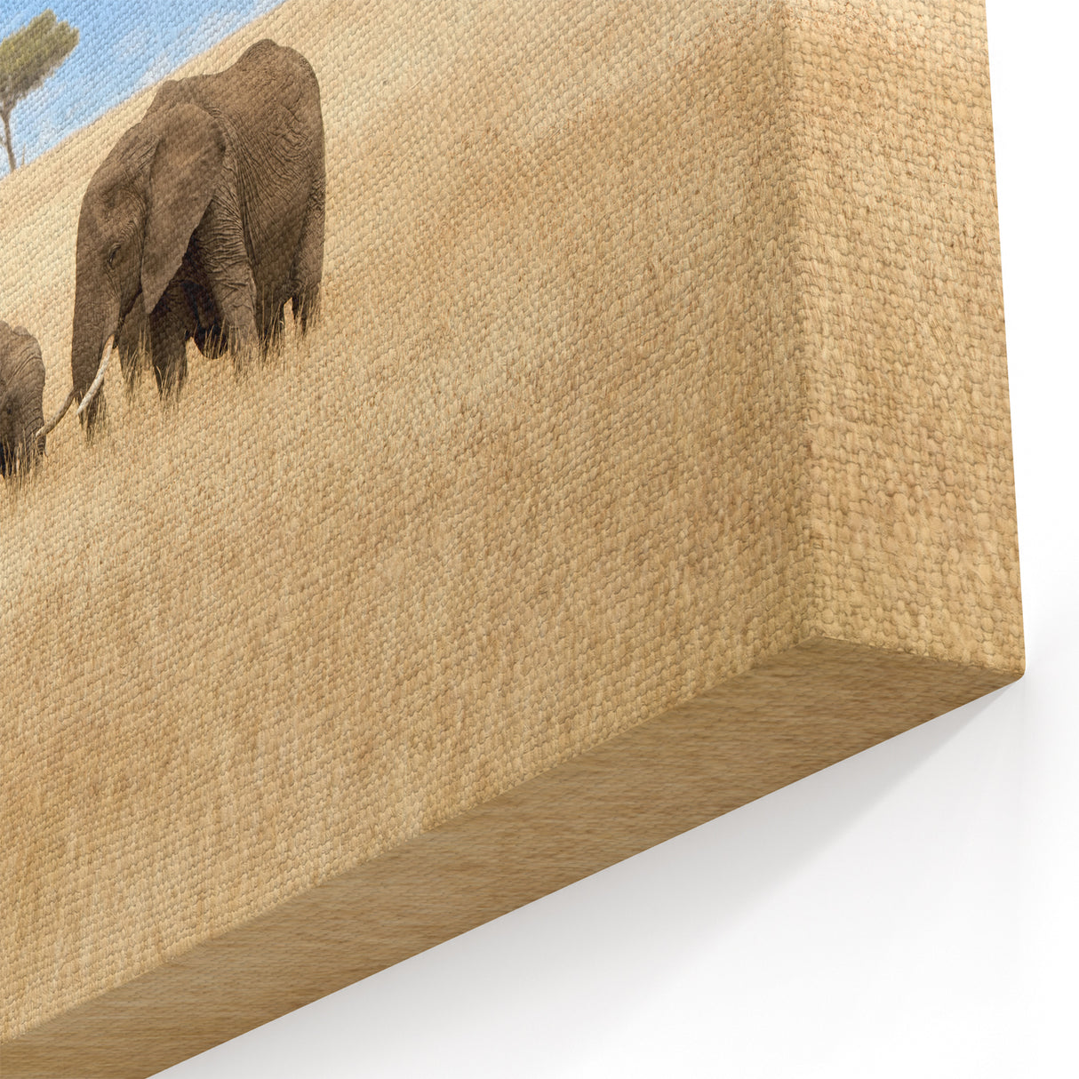 Gentle Giants in Kenya - African Elephant Family Wall Art