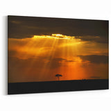 Sunset Rays over Kenyan Savannah Wall Art - Dramatic African Landscape