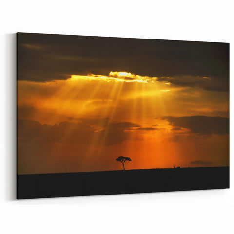 Sunset Rays over Kenyan Savannah Wall Art - Dramatic African Landscape