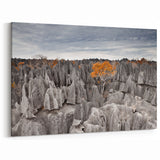Madagascar Nature Art - Unique Limestone Landscape Print on Canvas