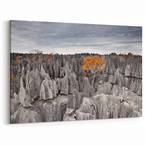 Madagascar Nature Art - Unique Limestone Landscape Print on Canvas