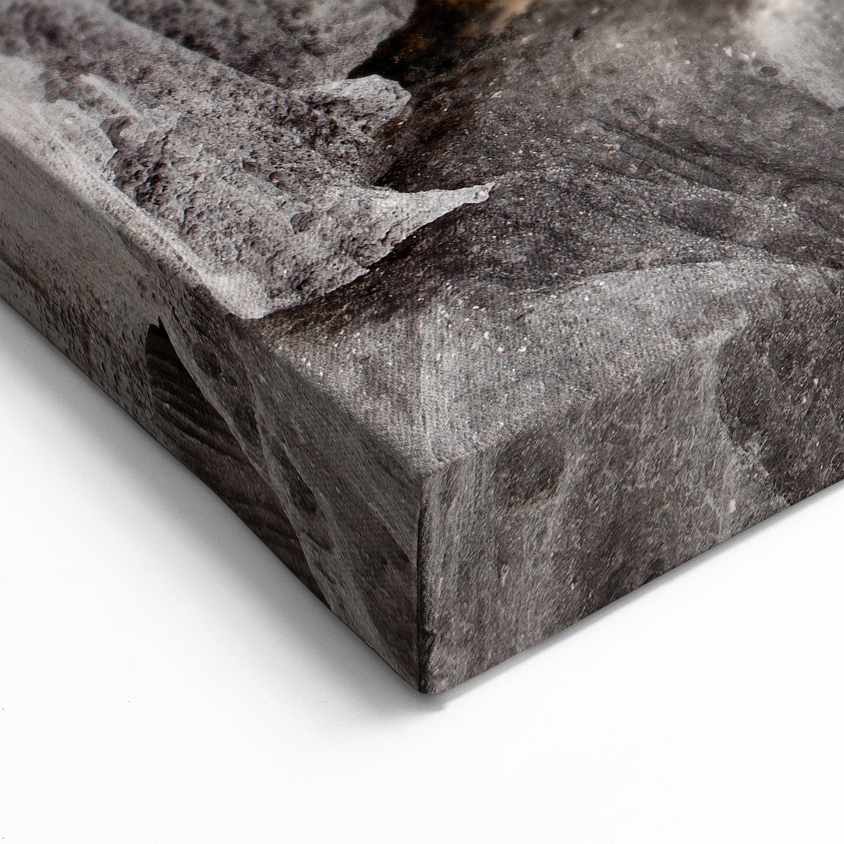 Madagascar Nature Art - Unique Limestone Landscape Print on Canvas