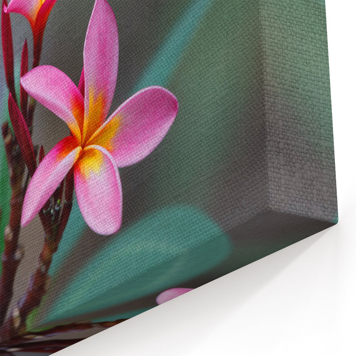Madagascar Nature Art - Vibrant Pink Flowers Print on Canvas