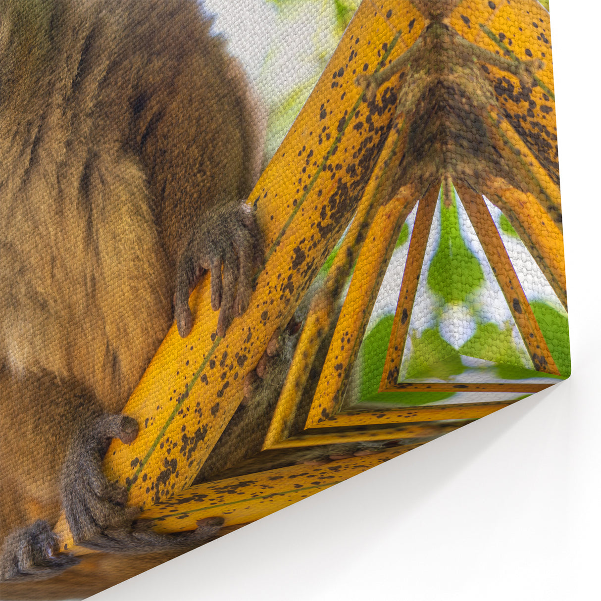 Madagascar Nature Art - Adorable Lemur on Bamboo Print on Canvas