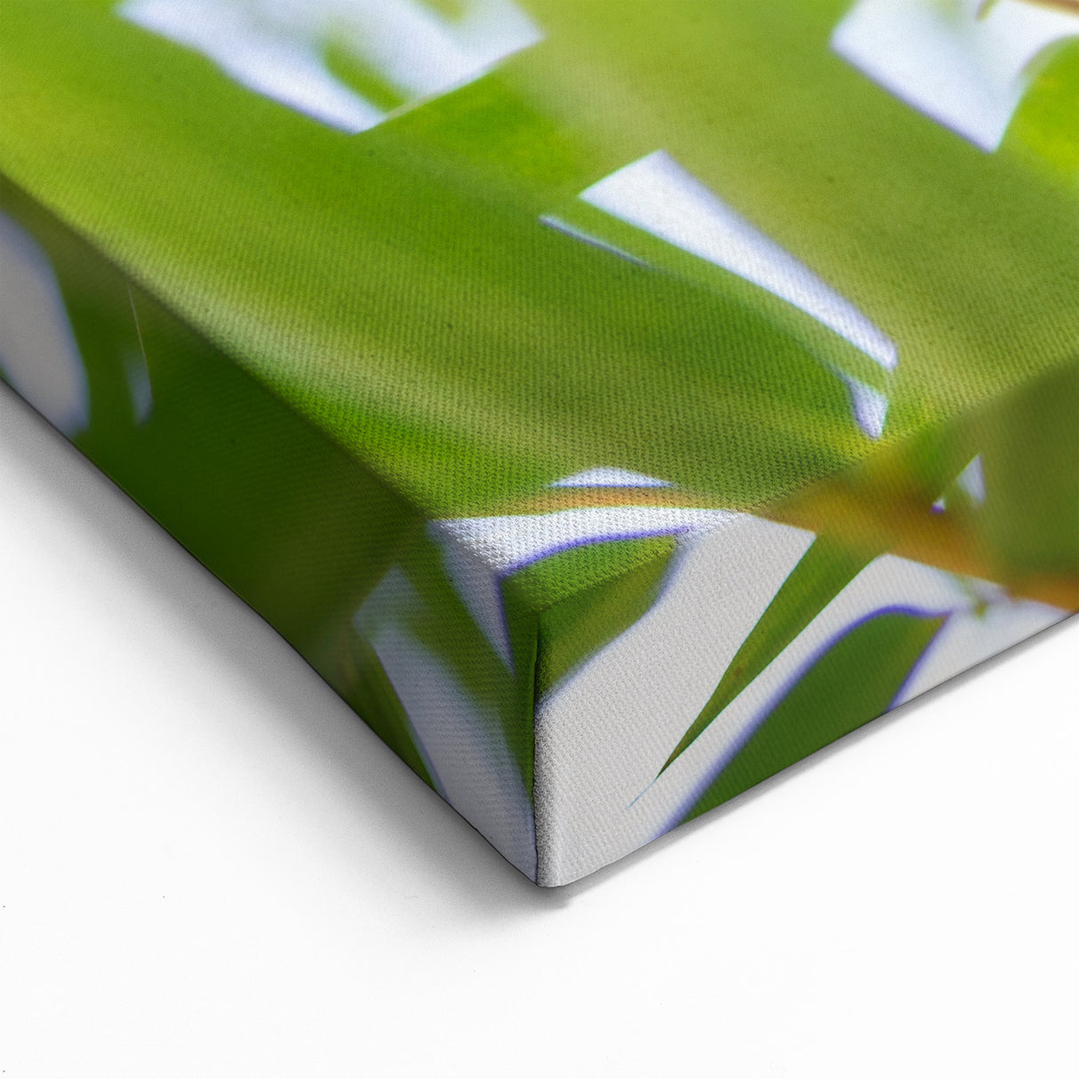 Madagascar Nature Art - Adorable Lemur on Bamboo Print on Canvas