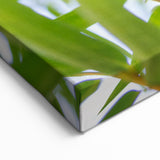 Madagascar Nature Art - Adorable Lemur on Bamboo Print on Canvas