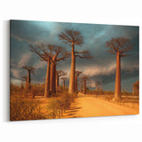 Madagascar Landscape Print - Majestic Baobab Trees at Sunset on Canvas