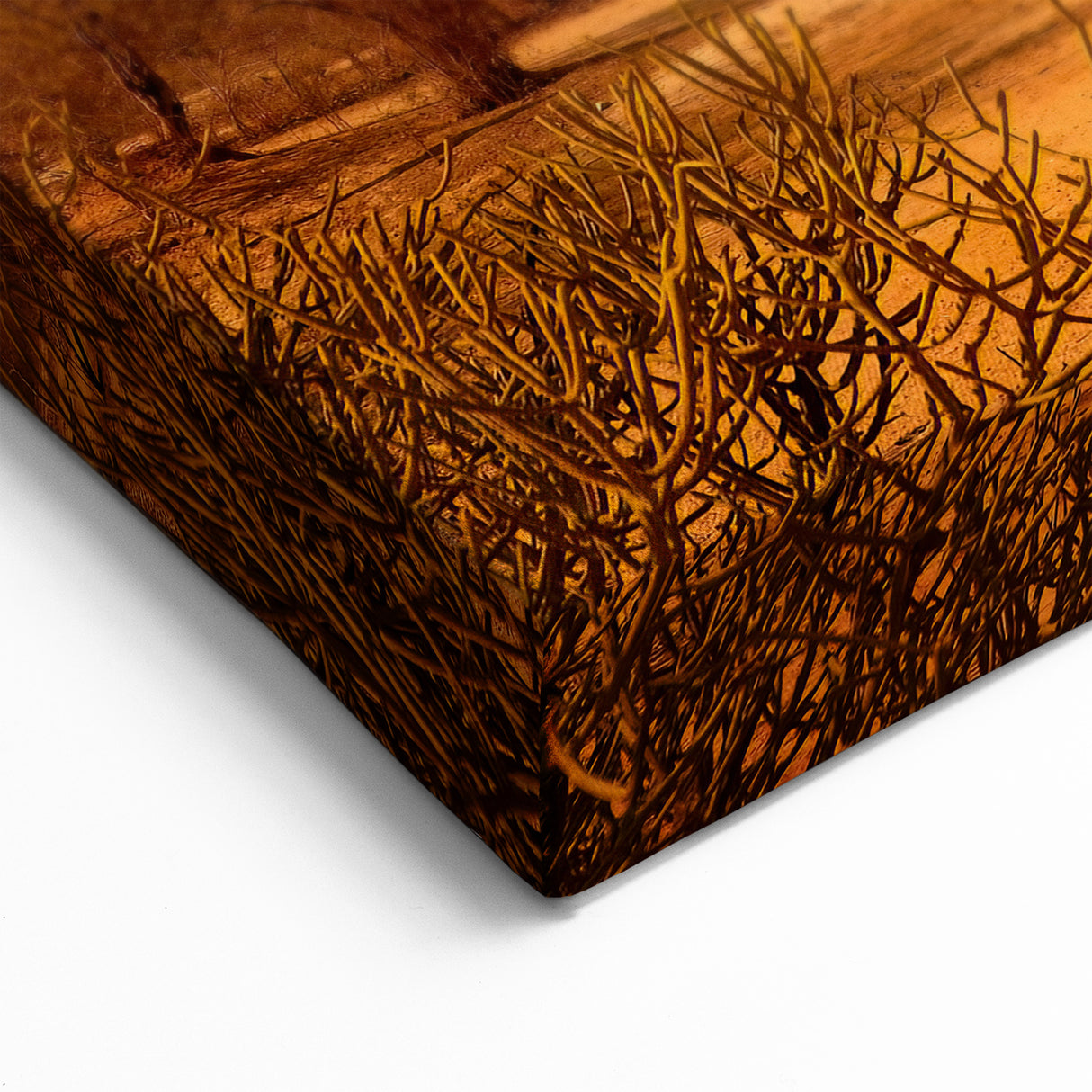 Madagascar Landscape Print - Majestic Baobab Trees at Sunset on Canvas