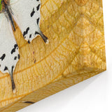 Madagascar Nature Art - Elegant Butterfly on Leaf Print on Canvas