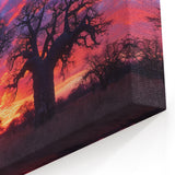 Majestic Madagascar Wall Art - African Scenery Baobab Trees Landscape Print