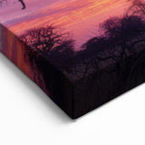 Majestic Madagascar Wall Art - African Scenery Baobab Trees Landscape Print