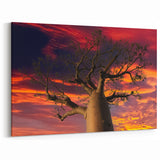 Madagascar Sunset Wall Art - Majestic Baobab Tree African Landscape Print