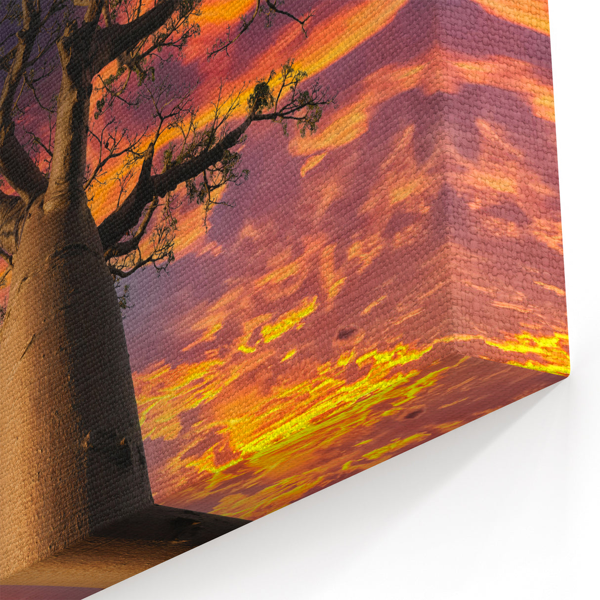 Madagascar Sunset Wall Art - Majestic Baobab Tree African Landscape Print