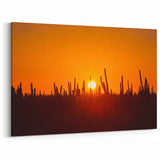 Baja California Sur Wall Art: Desert Sunset with Cacti Silhouettes