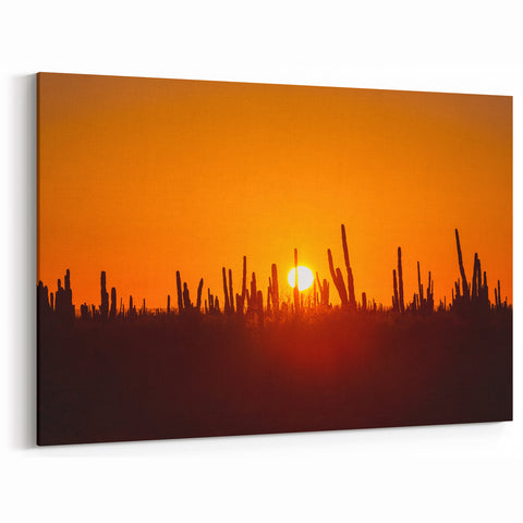Baja California Sur Wall Art: Desert Sunset with Cacti Silhouettes