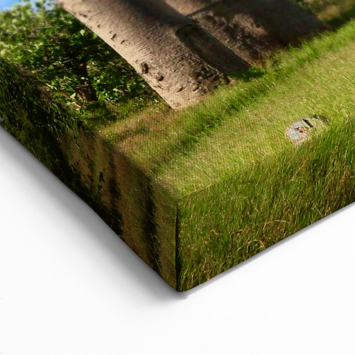 Madagascar Baobab Tree Avenue - Stunning African Landscape Wall Art