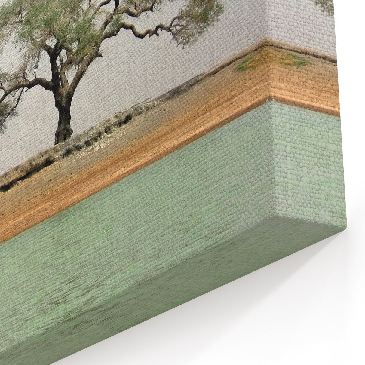 Solitary Tree by the River - Mali Landscape Prints