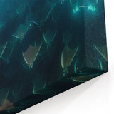 Baja California Sur Wall Art: Underwater Rays in the Gulf of California