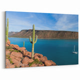 Baja California Sur Wall Art: Cacti Overlooking Turquoise Bay