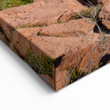 Baja California Sur Wall Art: Cacti Overlooking Turquoise Bay